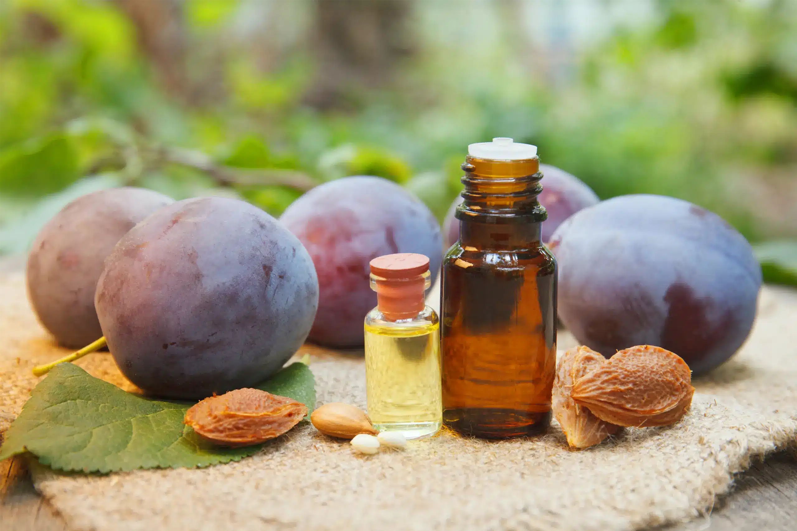 huile de prune dans les produits cosmétiques Camille Gabylore